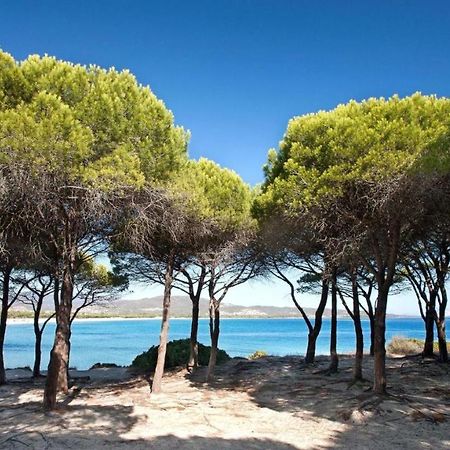 B&B La Quercia Budoni, Tanaunella Экстерьер фото